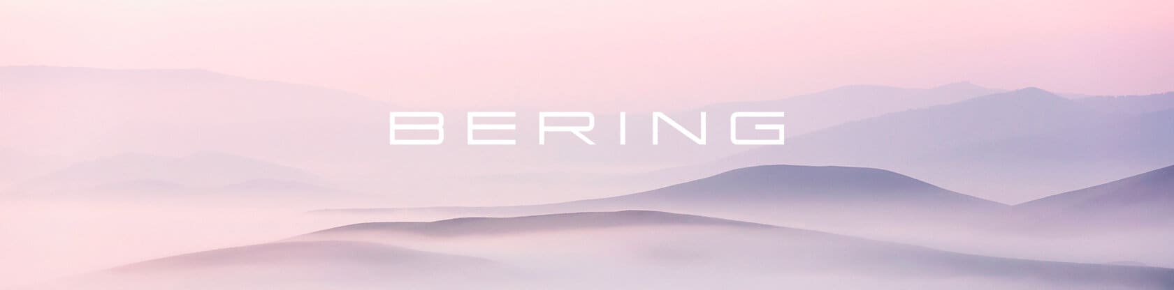 Bering klockor smycken