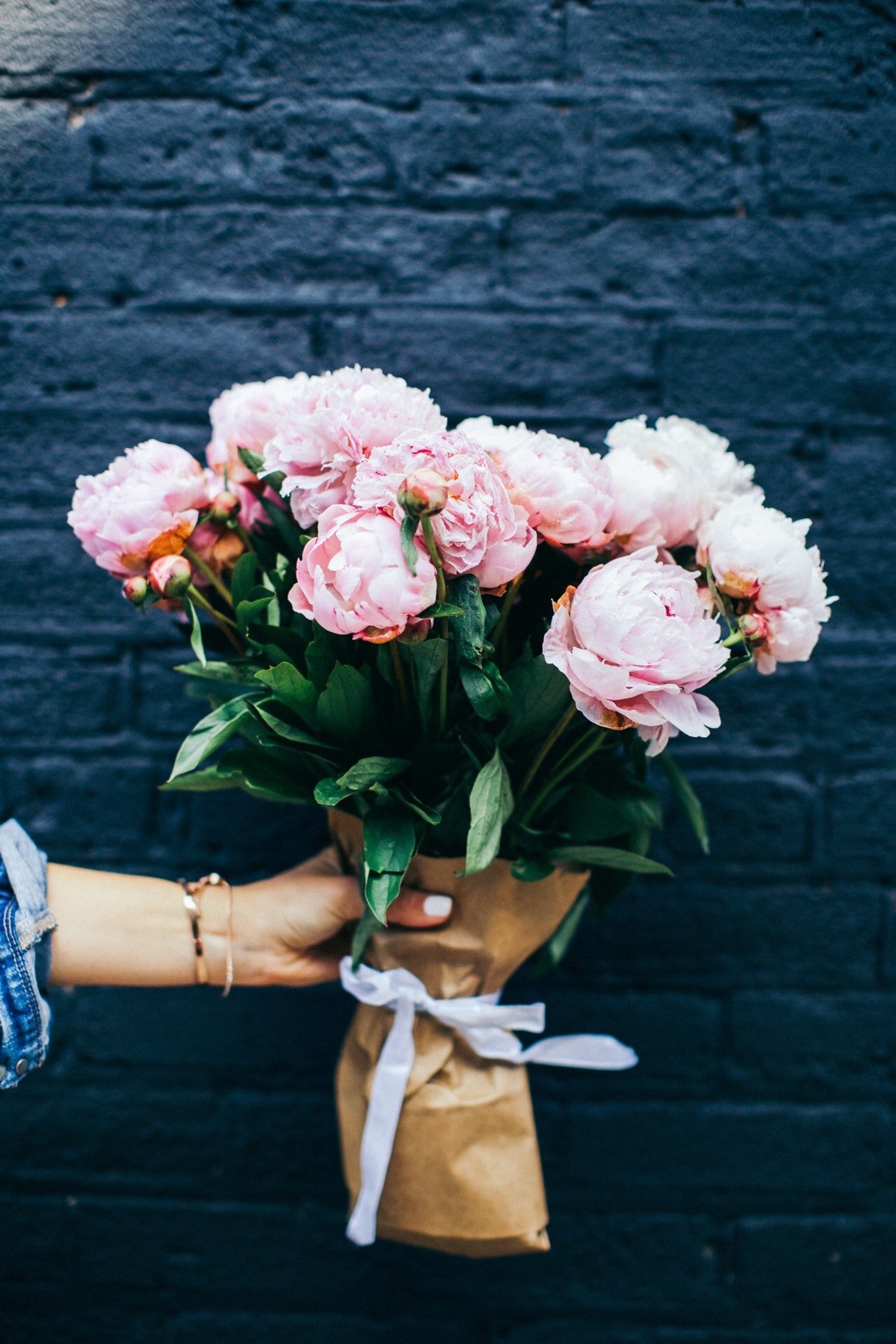 Hand håller rosa rosor mot en blå vägg