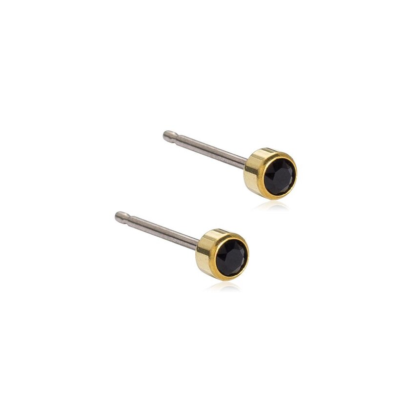 Product Image for Blomdahl Örhängen Bezel 3 mm, Black