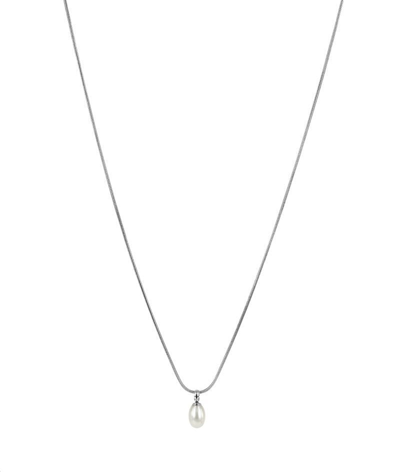 Product Image for Astrid & Agnes Palma