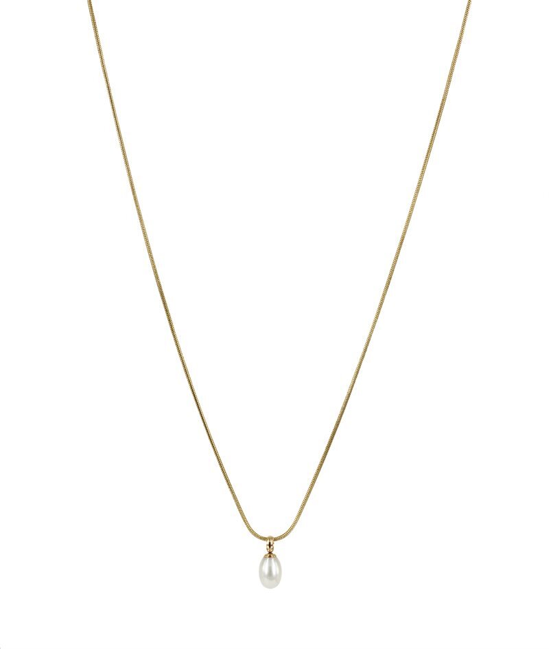 Product Image for Astrid & Agnes Palma