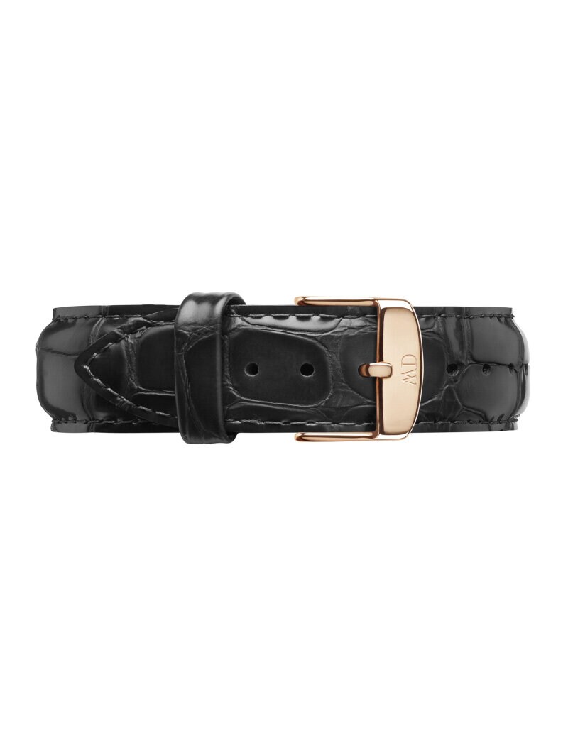 Product Image for Daniel Wellington Reading Leather strap Rose gold