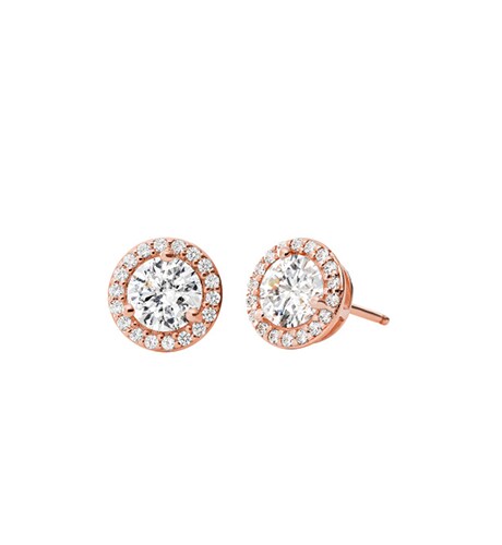 Product Image for Michael Kors Örhängen