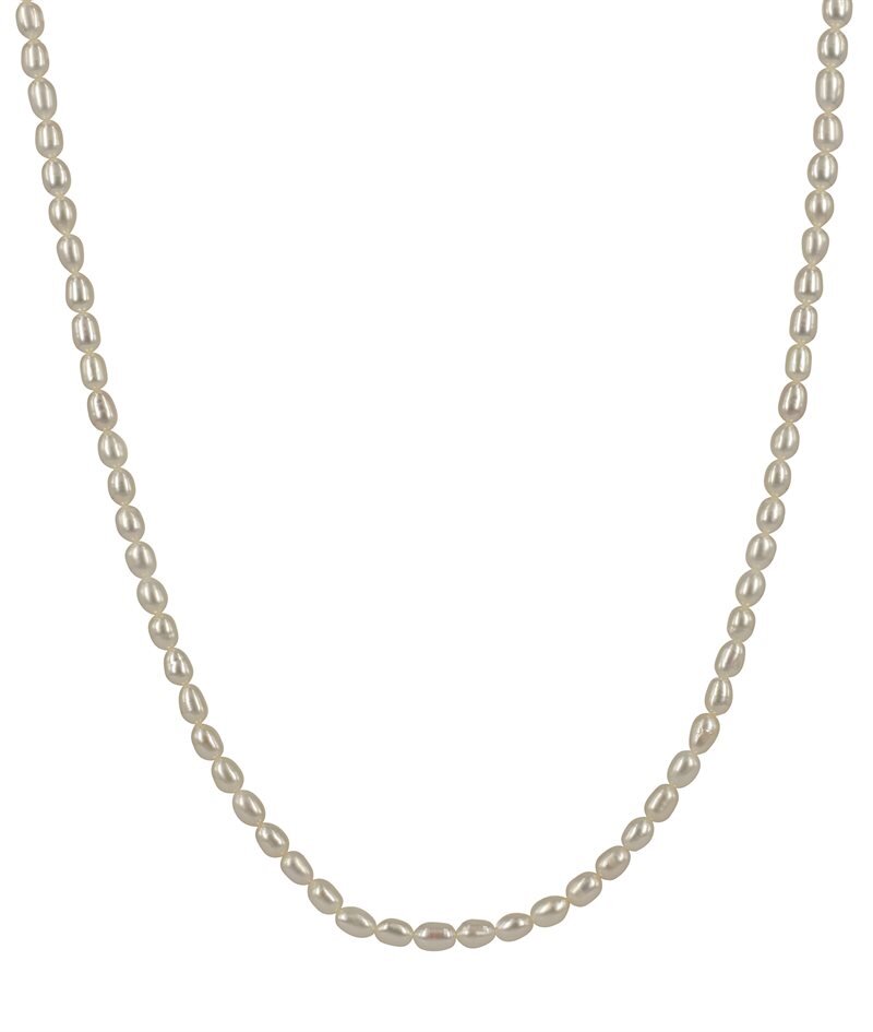 Product Image for Astrid & Agnes Palma
