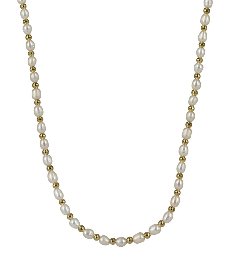 Product Image for Astrid & Agnes Palma