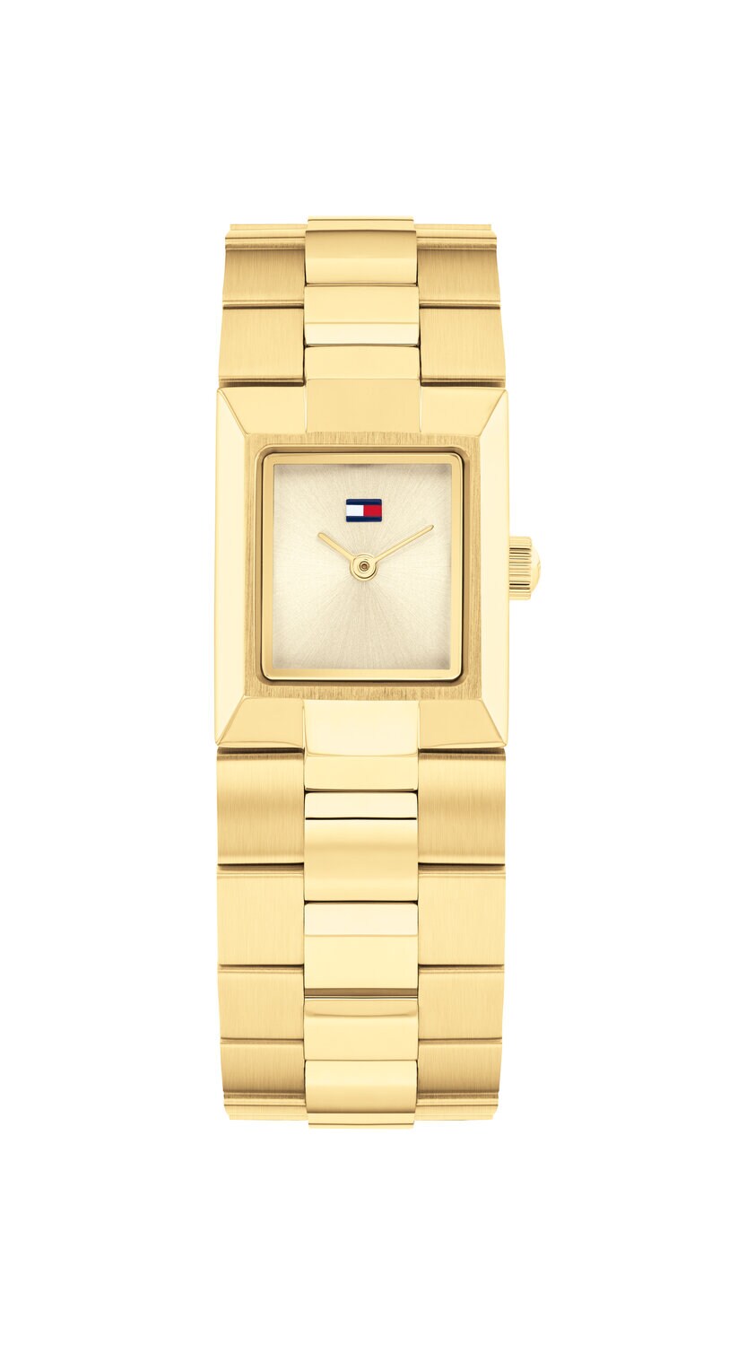 Product Image for Tommy Hilfiger Ladies Watch