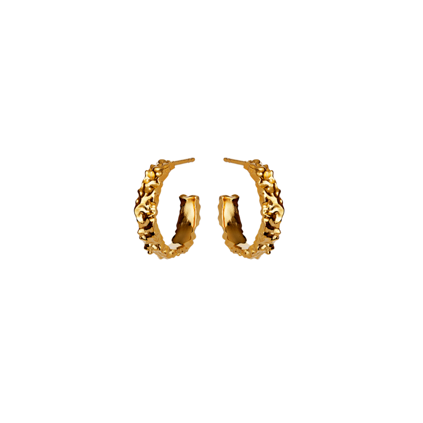 Product Image for Maanesten Aio Medium earrings