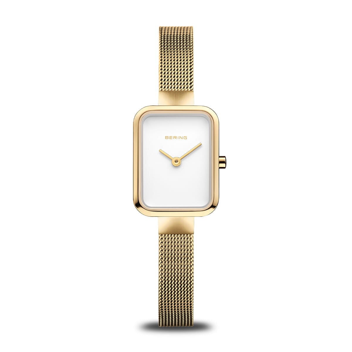 Bering Dam Classic