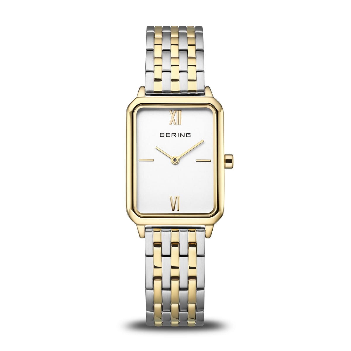 Bering Dam Classic
