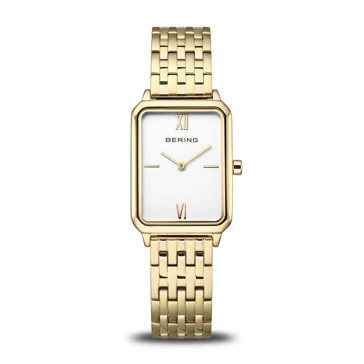 Bering Dam Classic