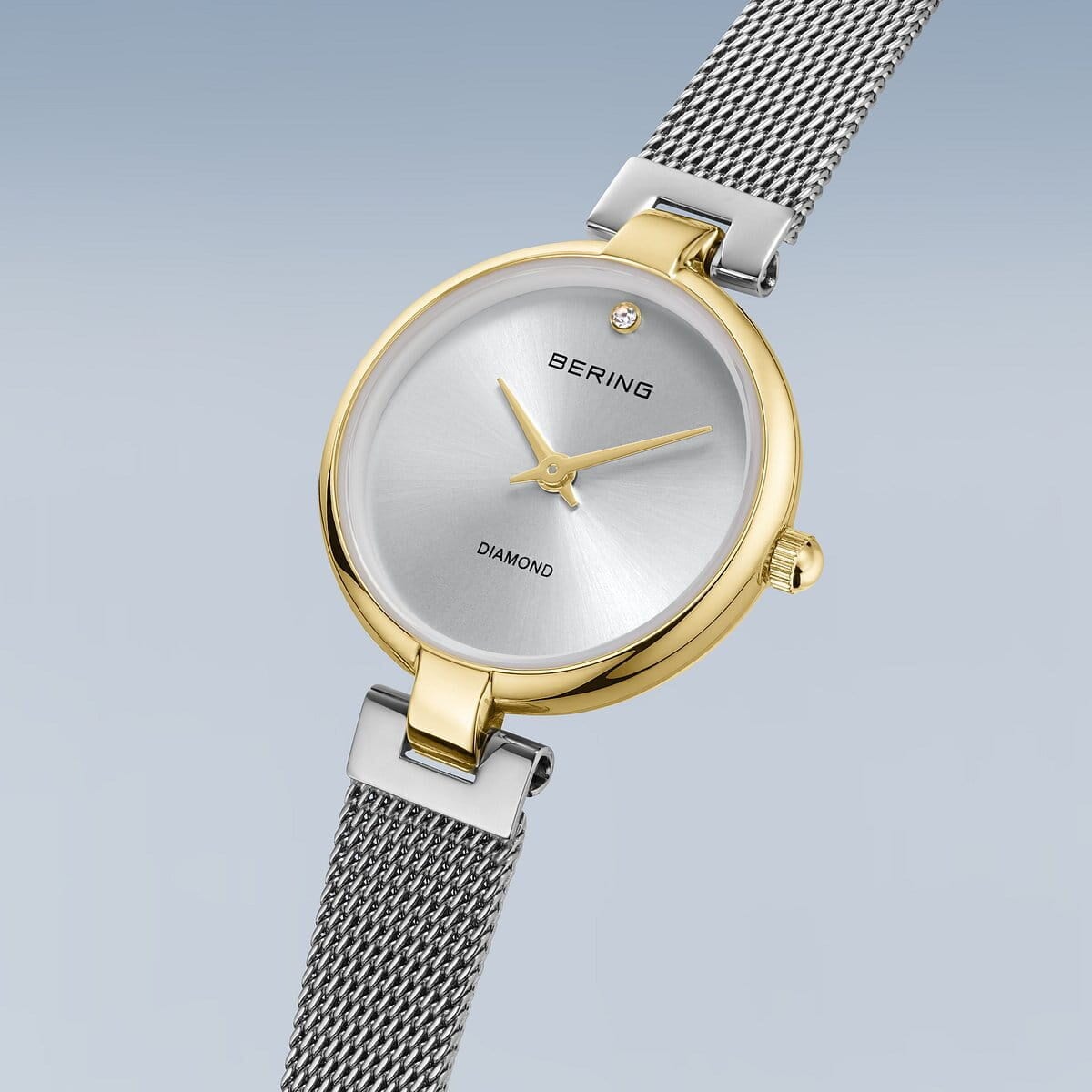 Bering Dam Classic