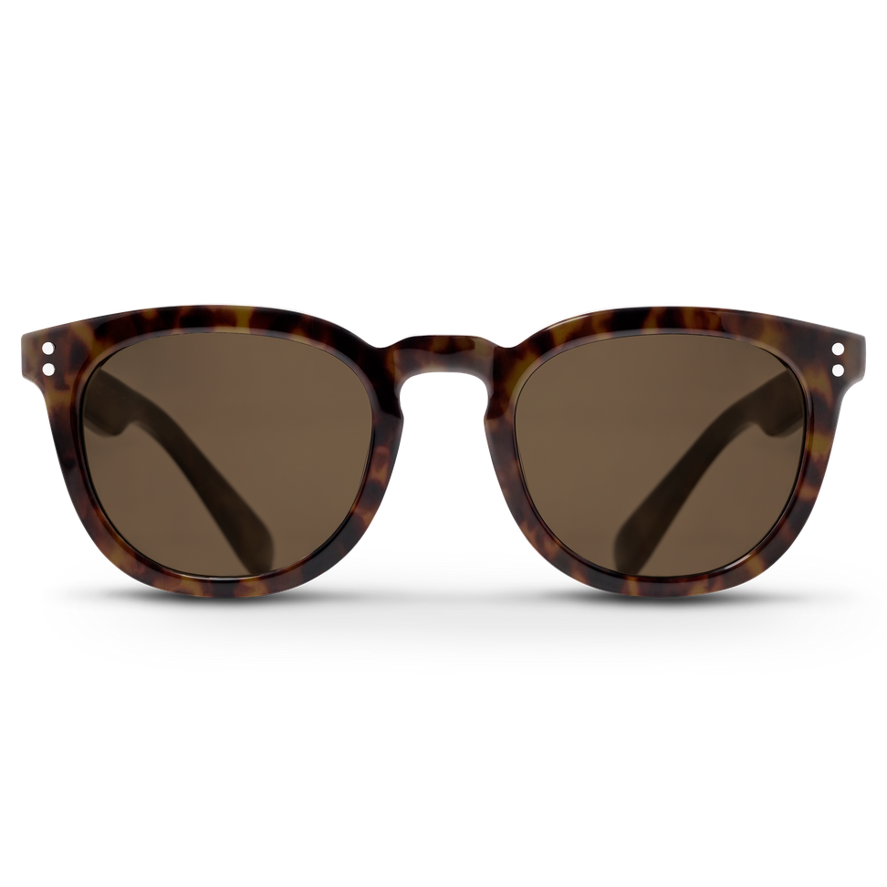 Triwa Havana Harald