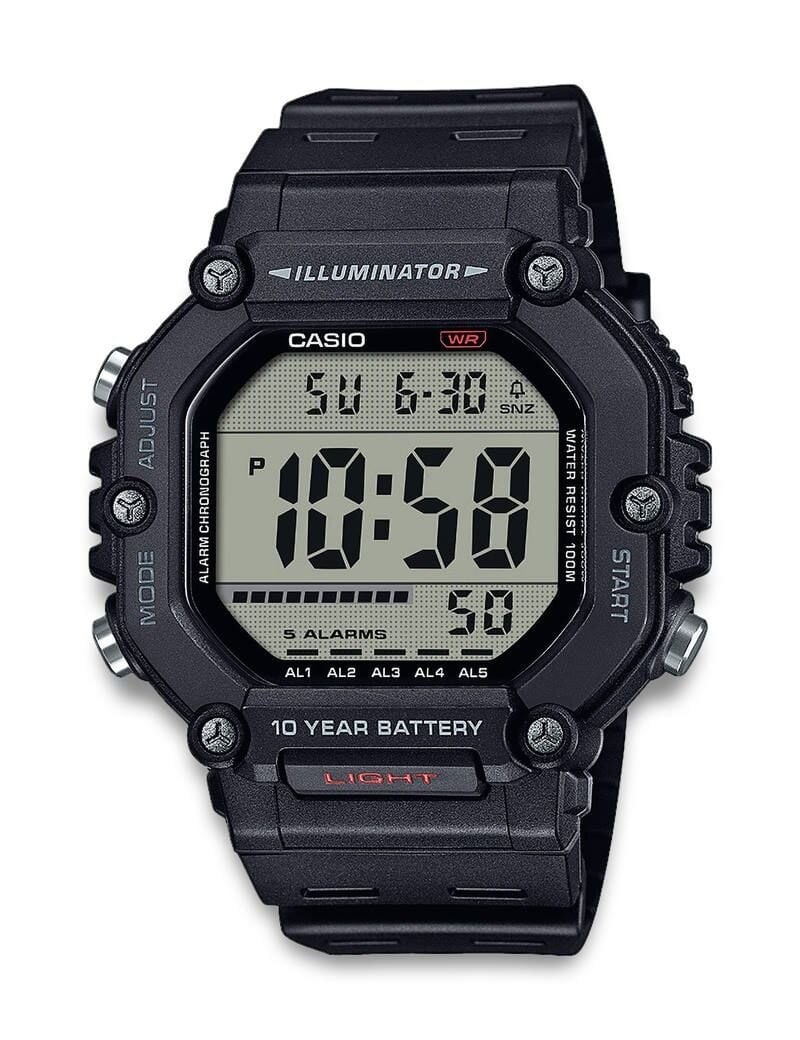 Casio Timeless