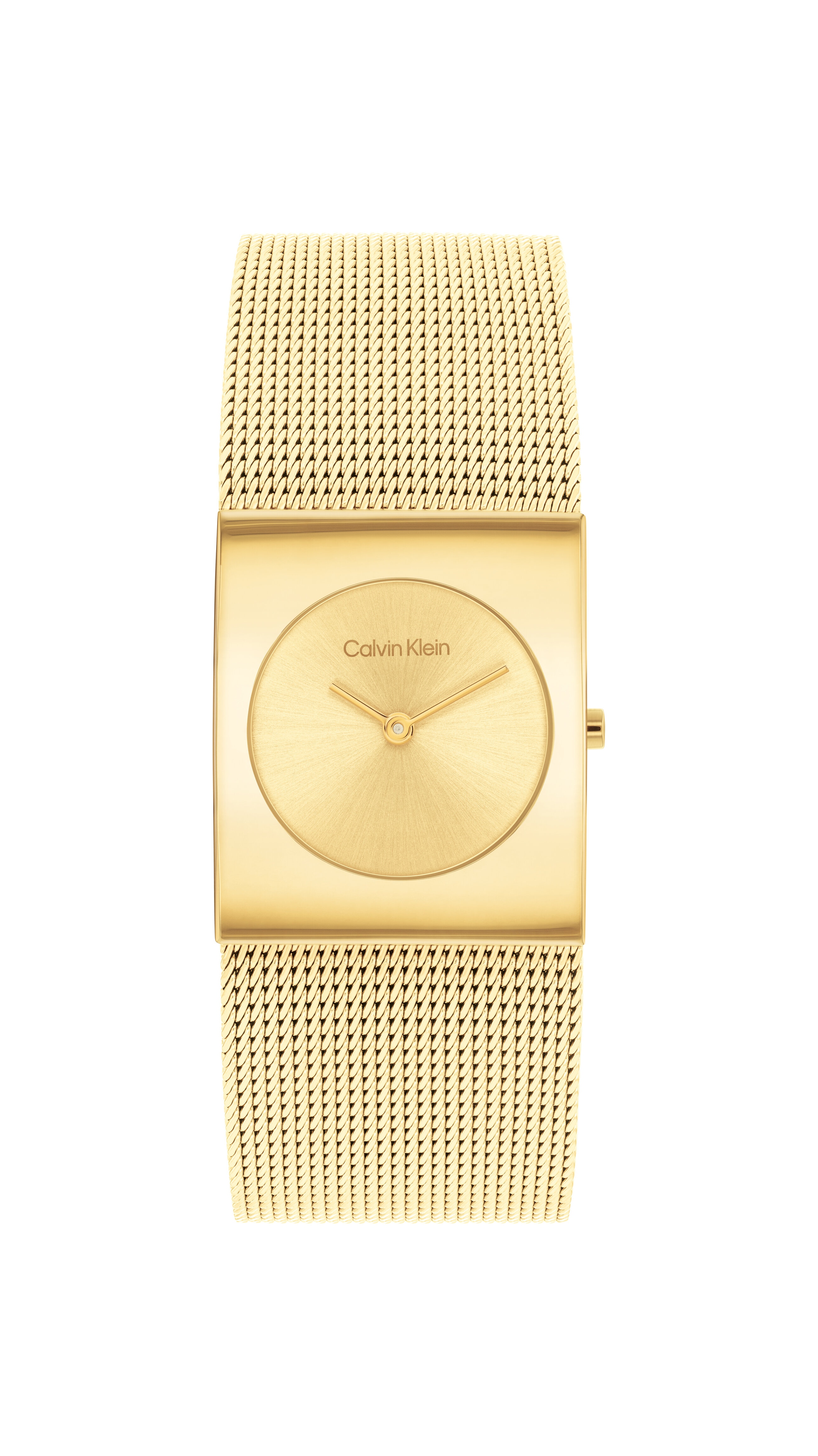 Calvin Klein Ladies Watch