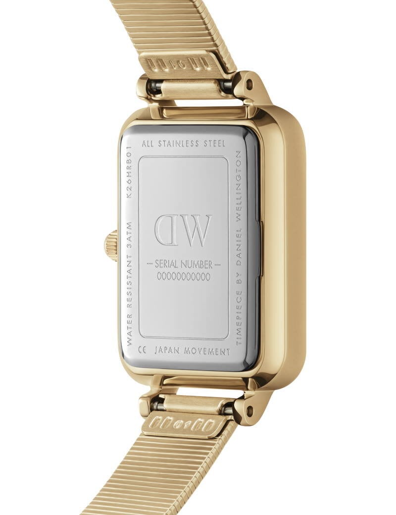 Daniel Wellington Petite Evergold