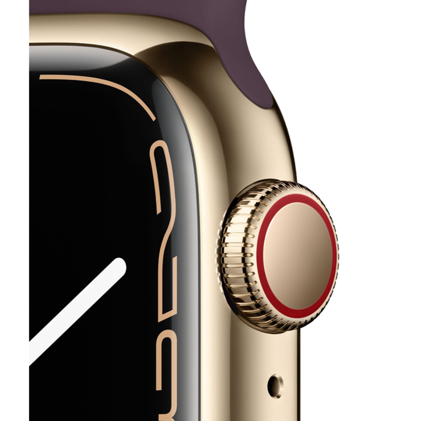 Apple Watch Series 7 Rostfri stålboett