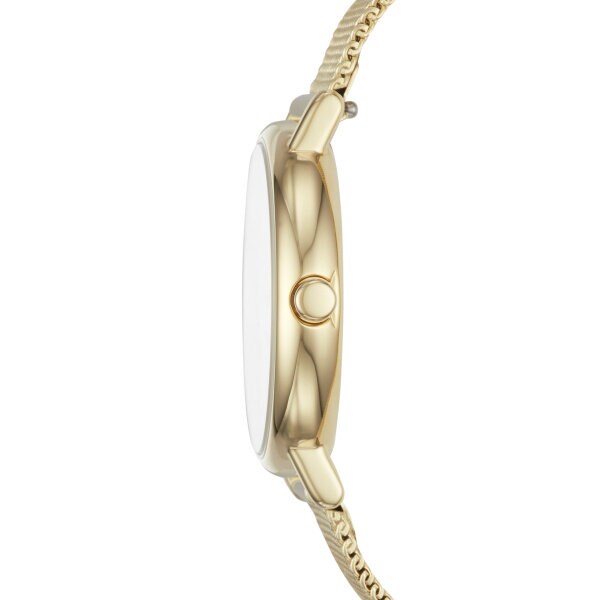 Skagen Signatur