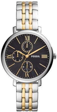 Fossil Jacqueline