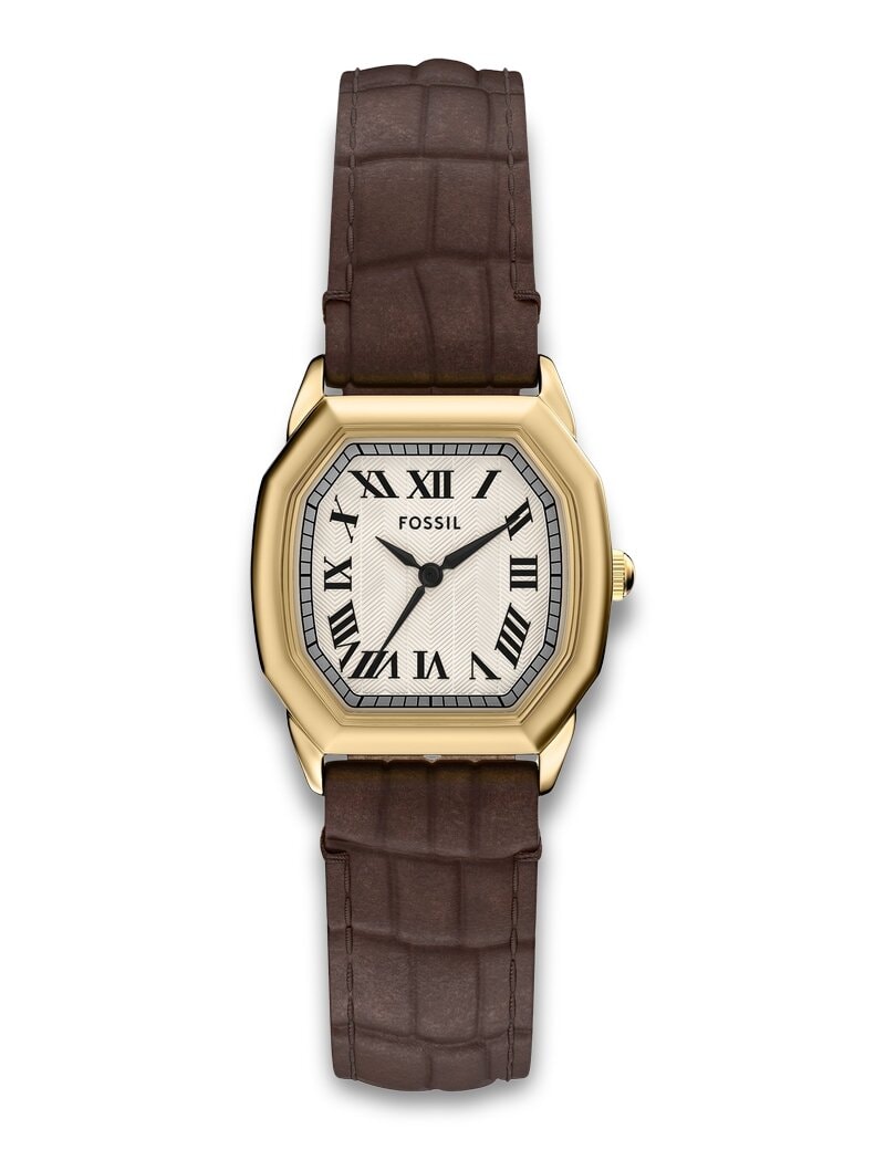 Fossil Harlow