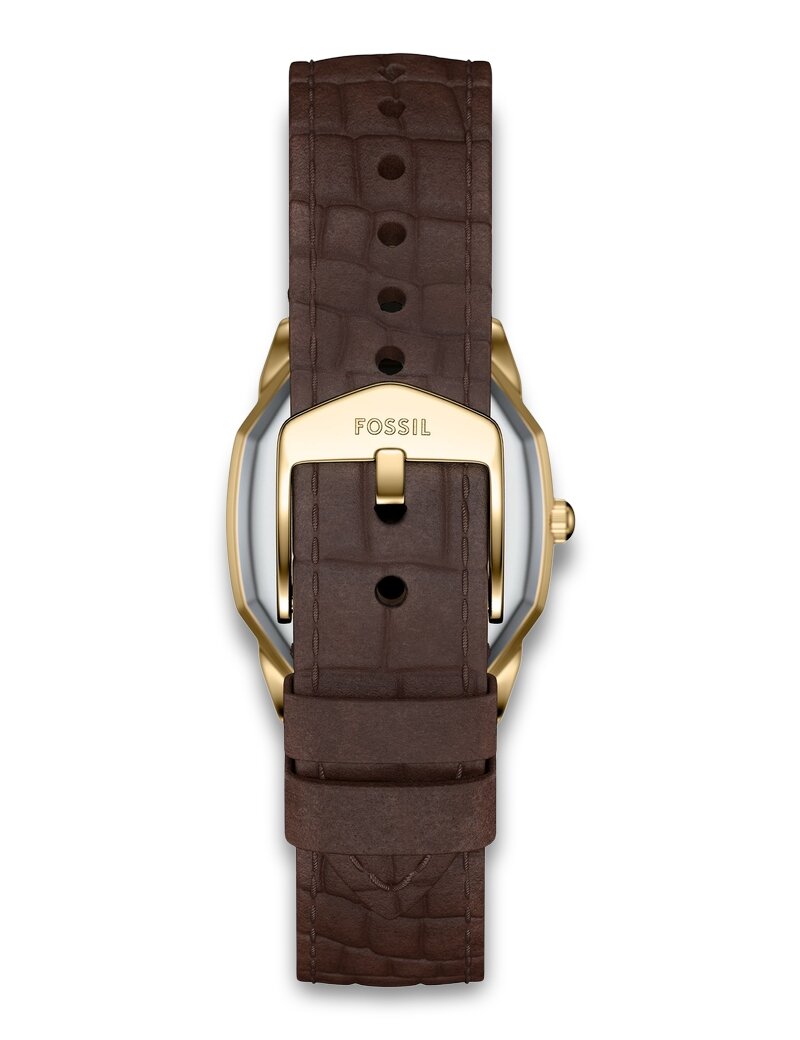 Fossil Harlow