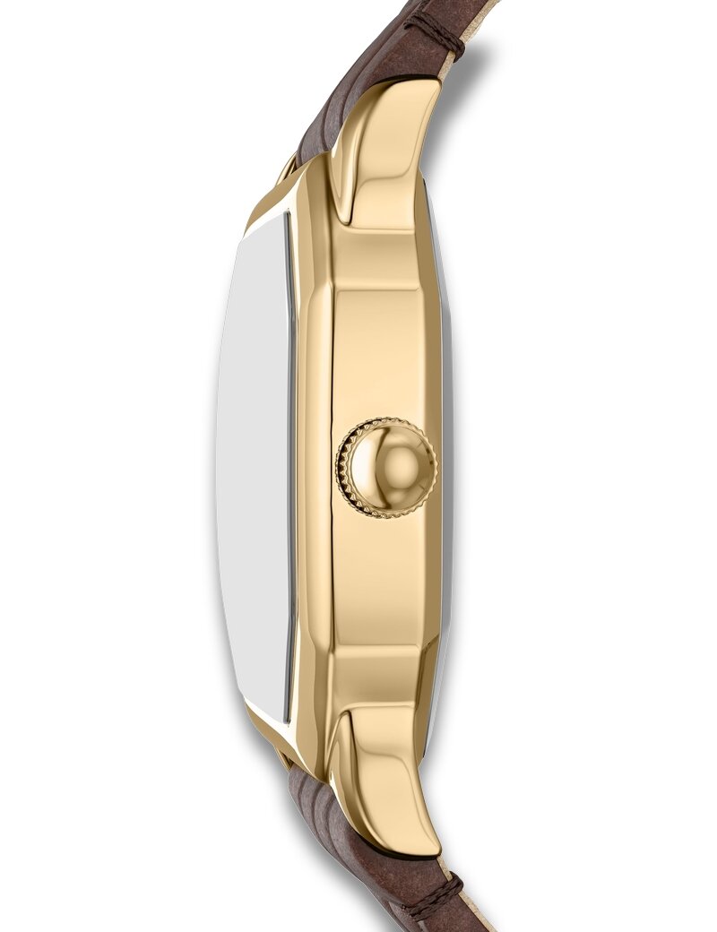 Fossil Harlow