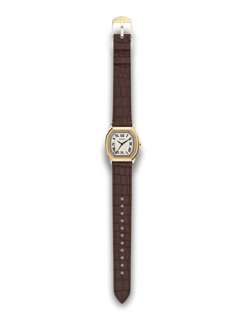 Fossil Harlow