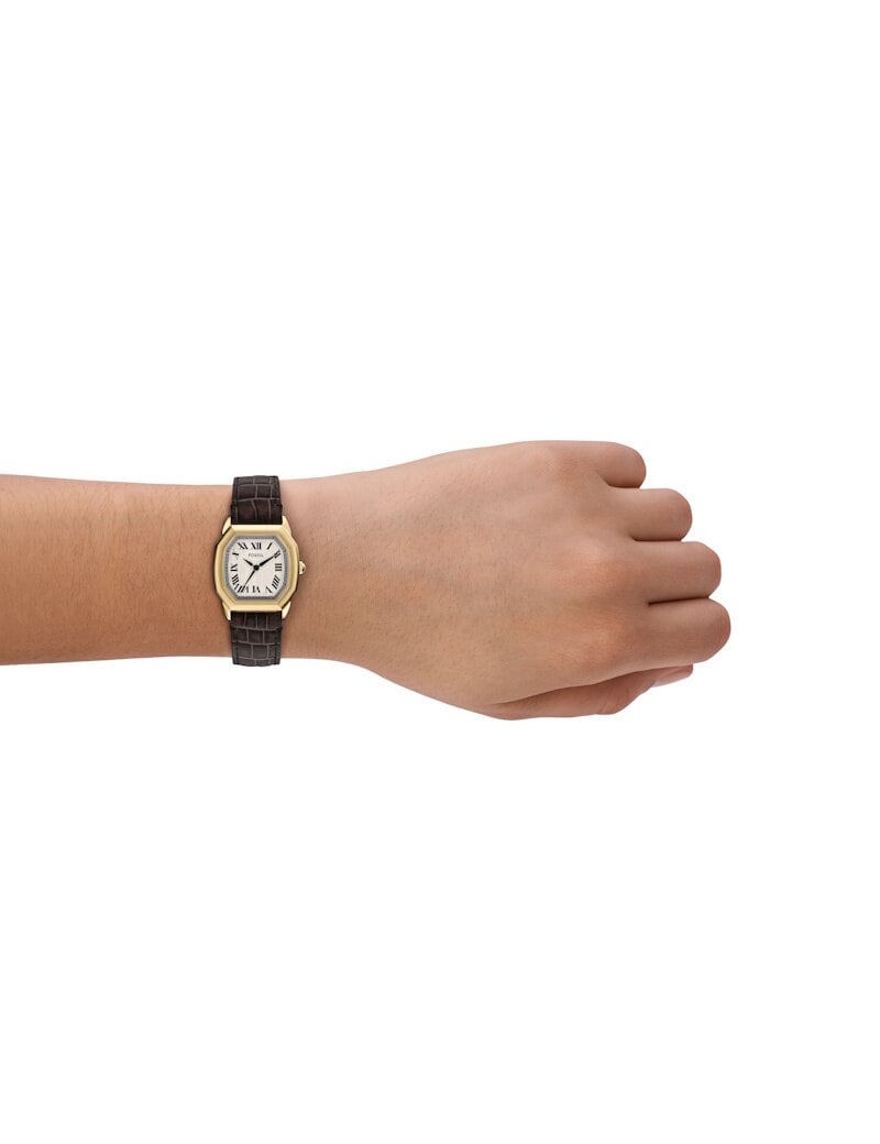 Fossil Harlow