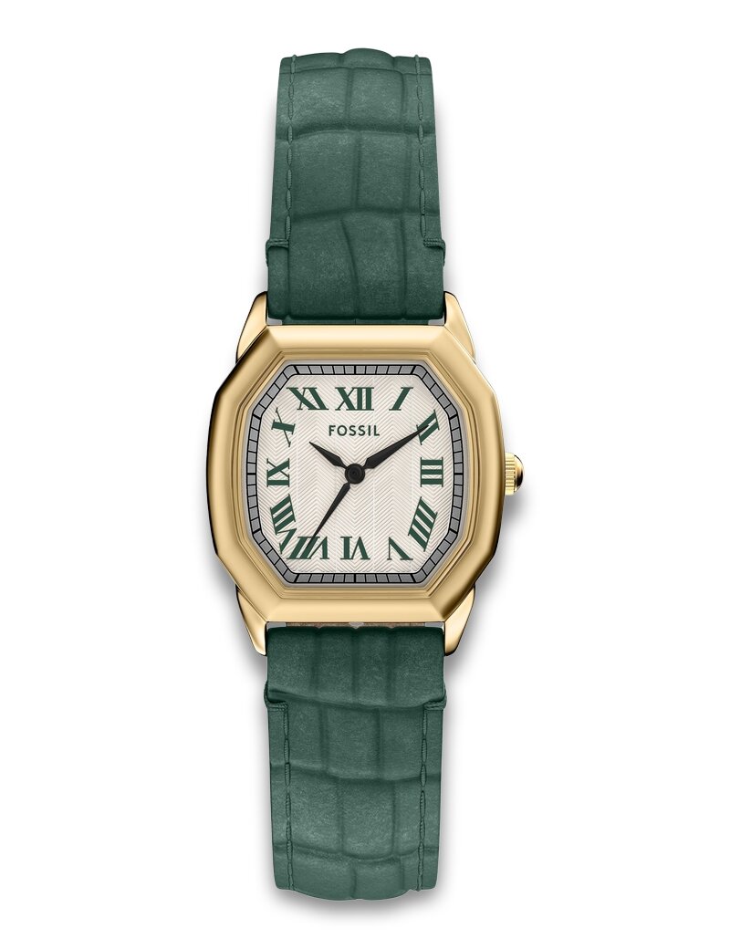 Fossil Harlow