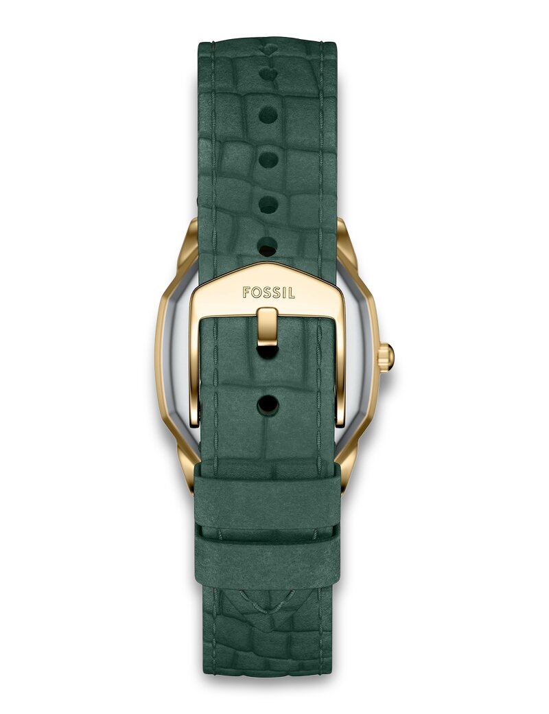 Fossil Harlow