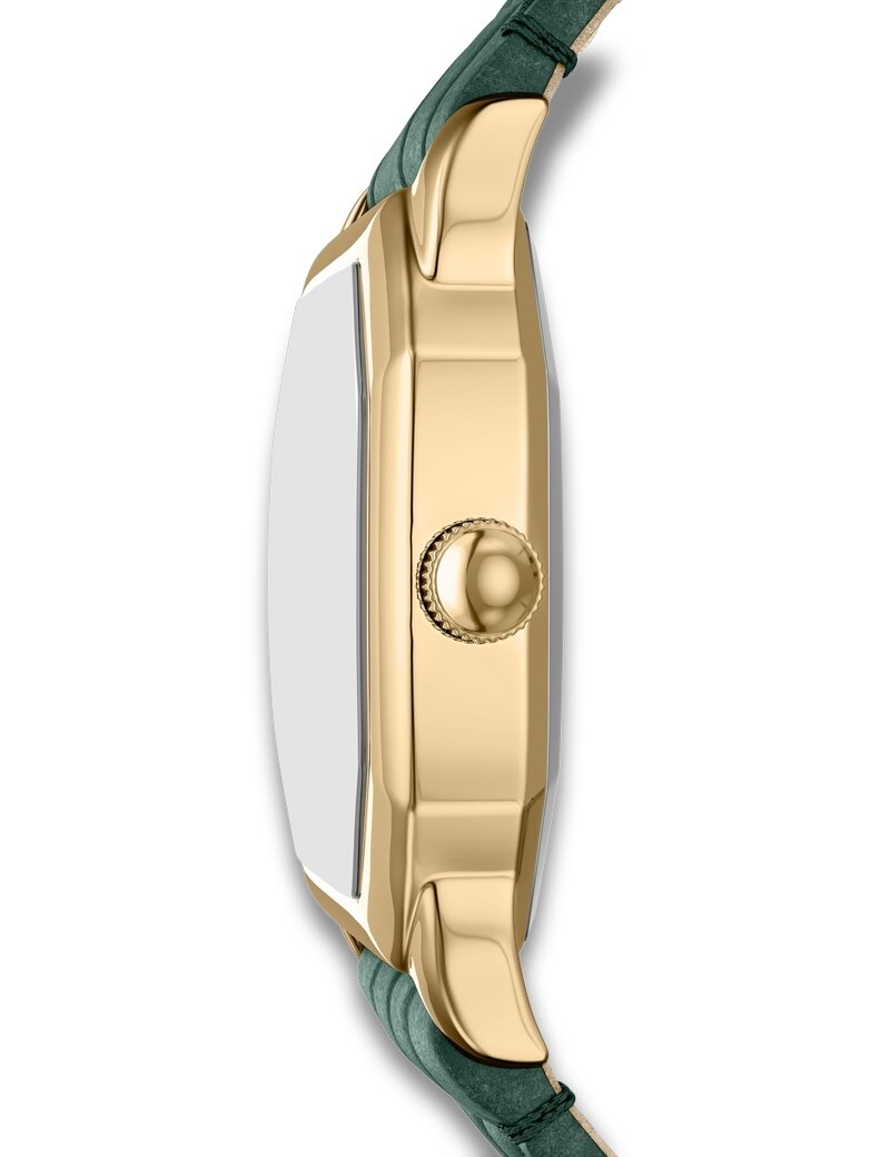 Fossil Harlow