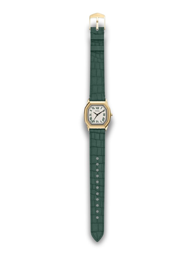 Fossil Harlow