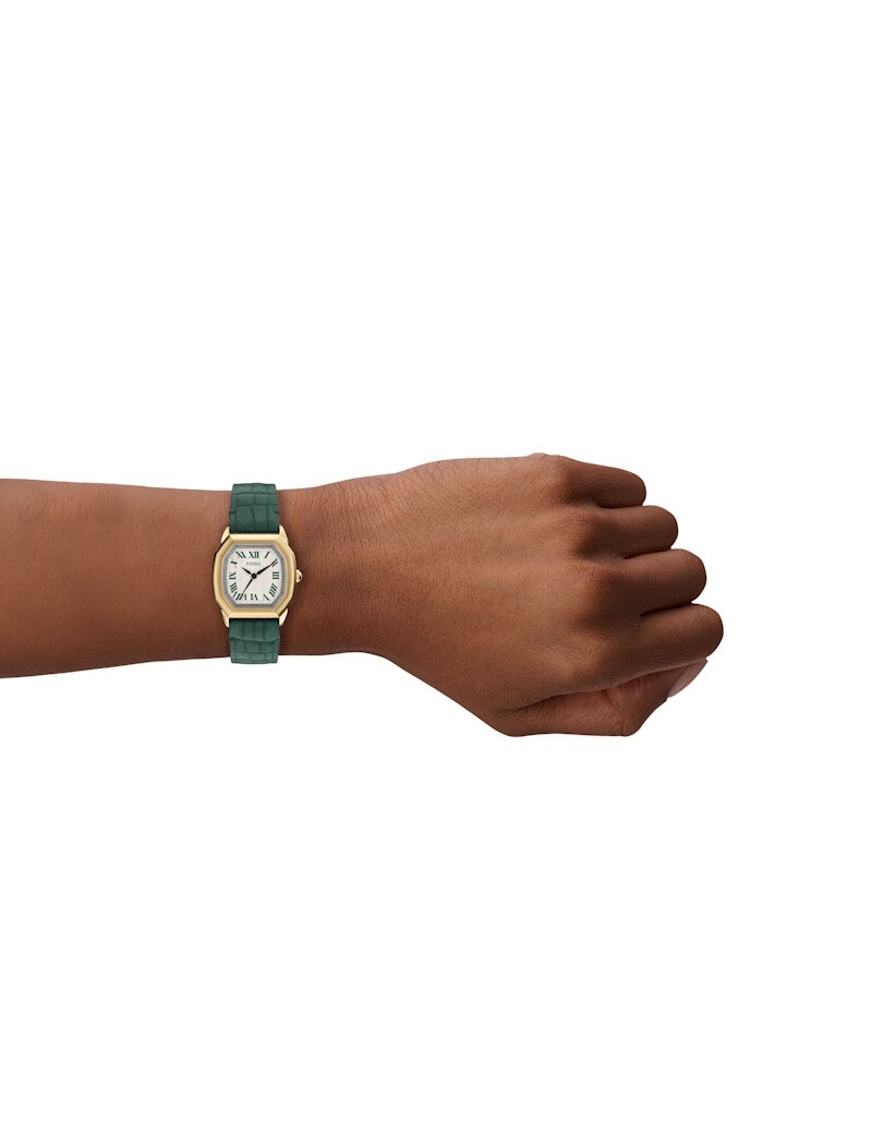Fossil Harlow