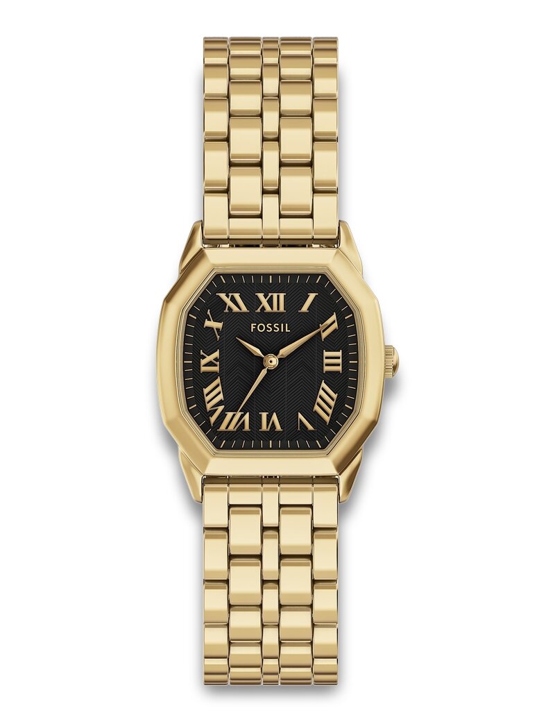 Fossil Harlow