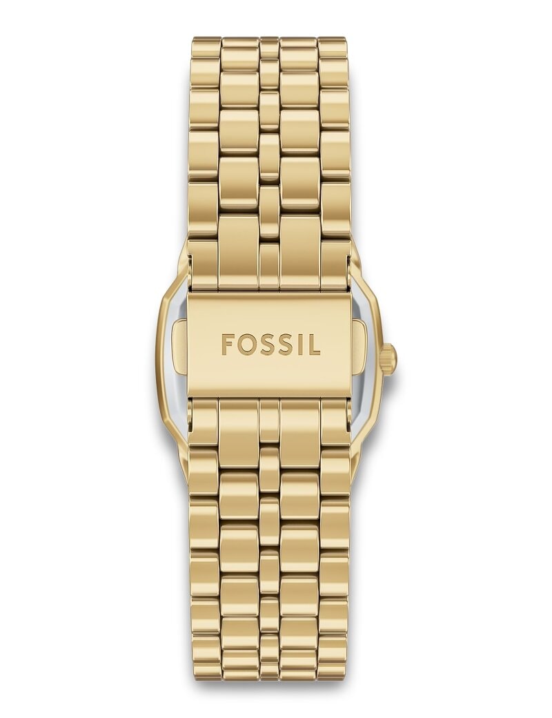 Fossil Harlow