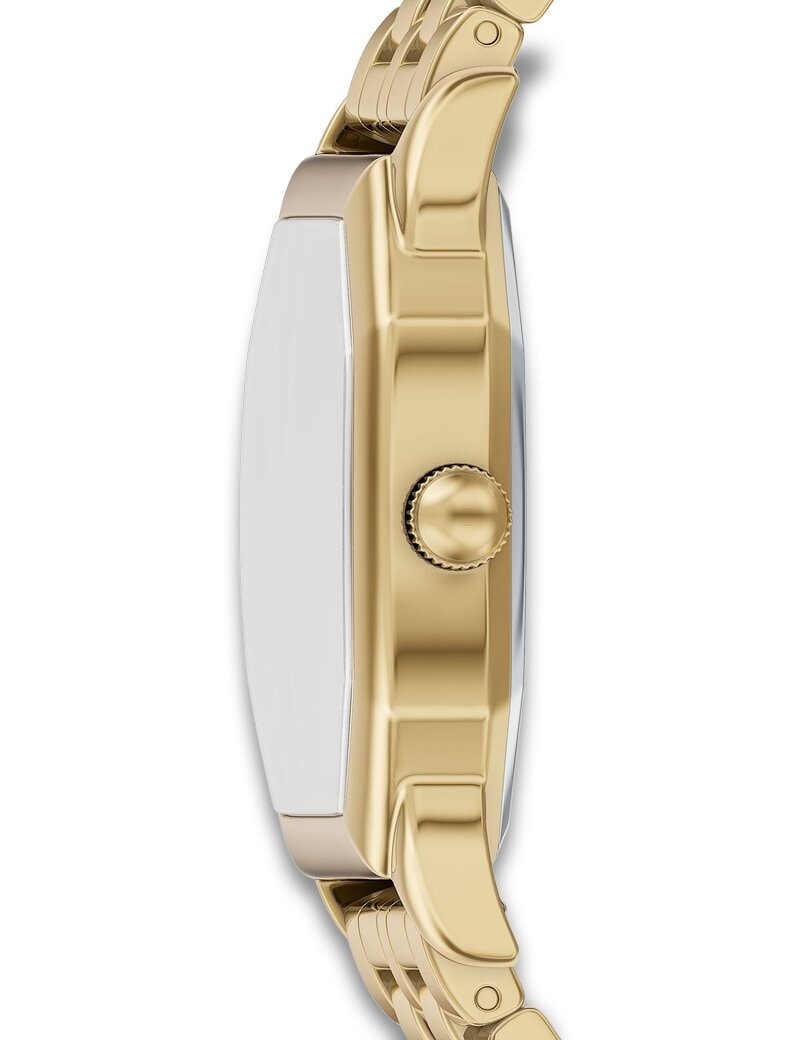 Fossil Harlow