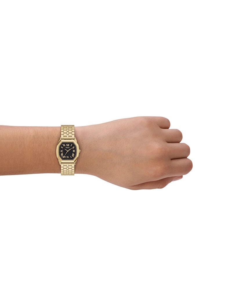 Fossil Harlow