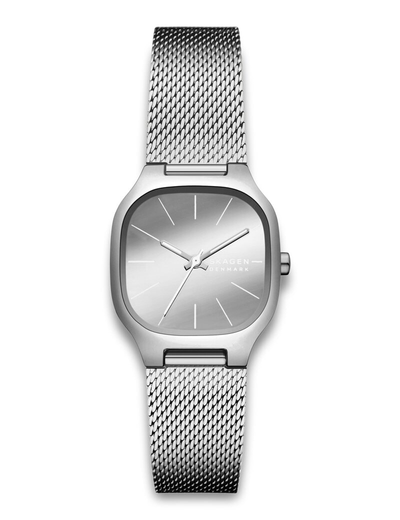 Skagen Mellem Lille