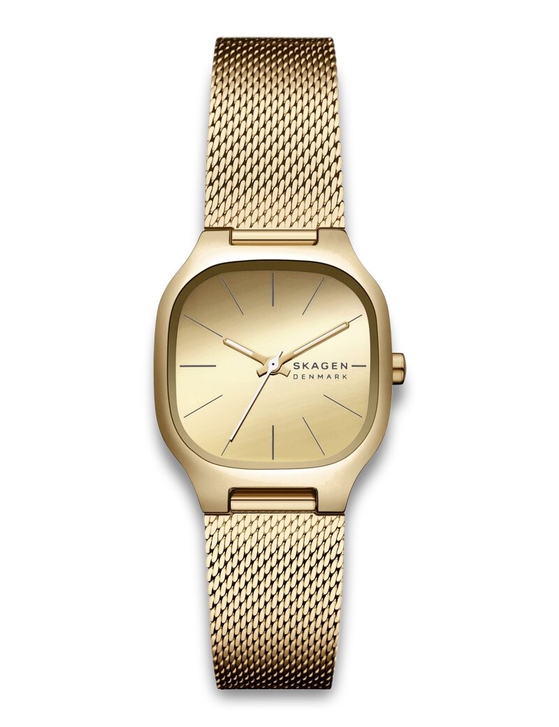 Skagen Mellem Lille
